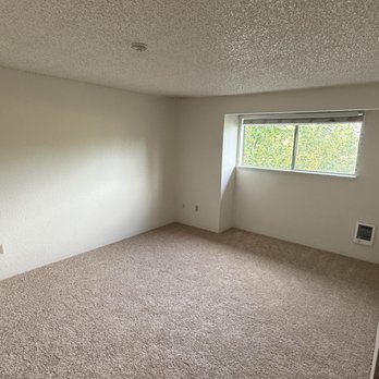 Hardwood Plus - Carpeted room where I think the thoughts of my youth that drive me still - Flooring Near Me Hardwood Plus - Carpeted room where I think the thoughts of my youth that drive me still - Flooring Near Me