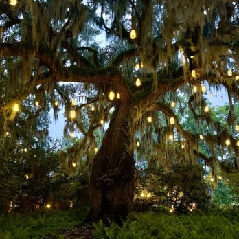 Brookgreen Gardens - 7.24.24 - Museums Near Me - Murrells Inlet, South Carolina