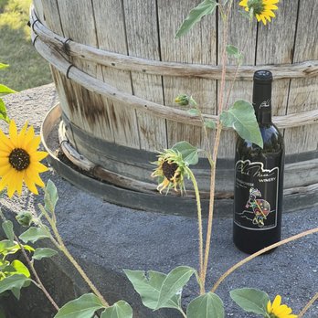 Black Mesa Winery - Bottle of wine - Sunflower plant with yellow flowers and green leaves is positioned near a wine bottle and a wooden planter on a stone surface. - Wineries Near Me - Velarde, New Mexico