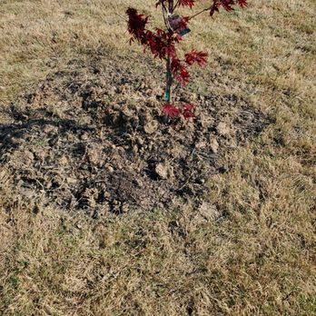 The Lawn Dude - Tree Services Near Me - Killeen, Texas