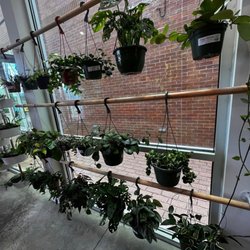 The Flora Culture