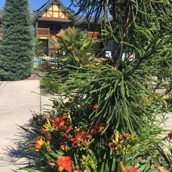 Best Western Windsor Inn - Hotels Near Me - Ashland, Oregon
