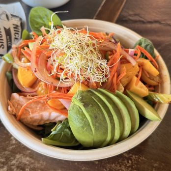 Toss’d - Salmon Mango Avocado - Wraps Near Me - Temecula, California Toss’d - Salmon Mango Avocado - Wraps Near Me - Temecula, California