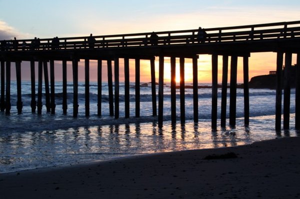 Cayucos Surf Company by null