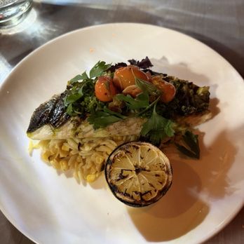 Cry Baby Pasta - Branzino w/orzo and corn - Italian Near Me - Philadelphia, Pennsylvania Cry Baby Pasta - Branzino w/orzo and corn - Italian Near Me - Philadelphia, Pennsylvania