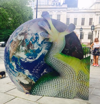 City Hall Park Greenmarket by null