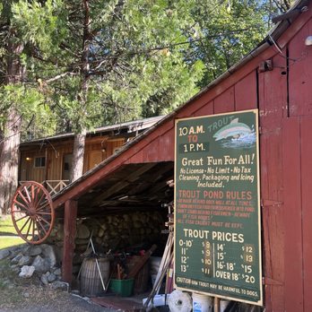 Sierra Pines Resort - Trout fishing - American Near Me - Sierra City, California Sierra Pines Resort - Trout fishing - American Near Me - Sierra City, California