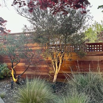 Zepeda Fence - Fences & Gates Near Me Zepeda Fence - Fences & Gates Near Me