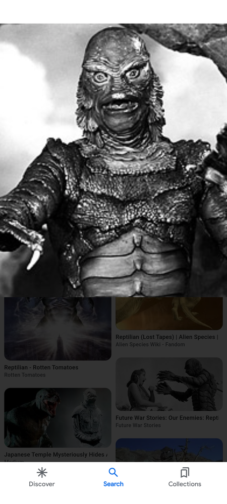 Baumann Tree Service - tree service in Knoxville, TN