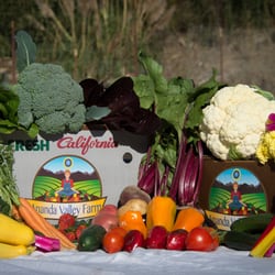 Ananda Valley Farm - The farm offers a limited number of CSA subscriptions each year. At left: the Family size (3-5 people). Right: Classic (1-2 people).