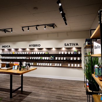 Kasa Kana - Cannabis Dispensaries Near Me - Huntsville, Ontario Kasa Kana - Cannabis Dispensaries Near Me - Huntsville, Ontario
