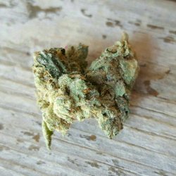 House Of Grace Collective HOG - Kat williams og...