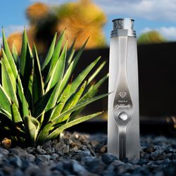 Louie's Liquor - Tequila Gran Diamante plata