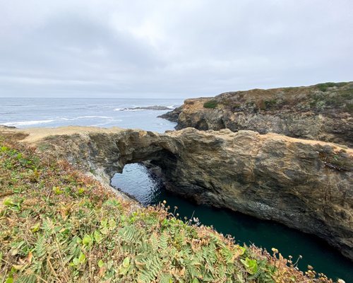 Mendocino Headlands State Park by null