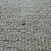 Ruggs Benedict Carpet One Floor & Home gift card
