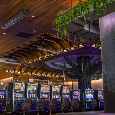 Orchid Gaming & Smoking Patio by null