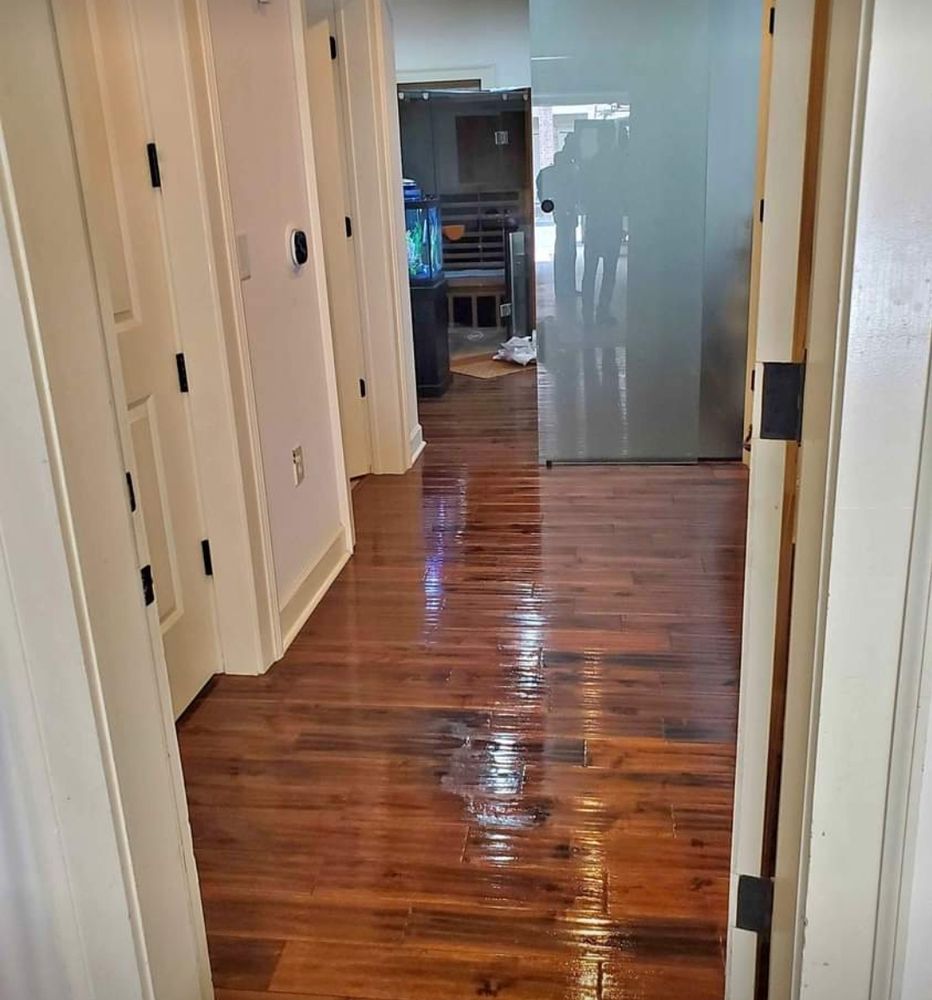 NSEW CARPET CLEANING Updated September 2024 13 Photos 450