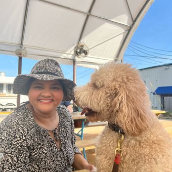 Austin Beerworks - Breweries Near Me - Austin, Texas