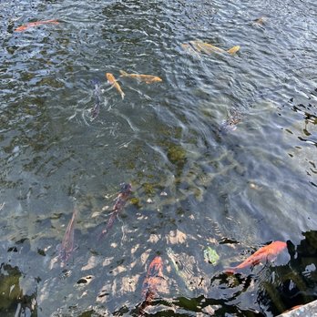 Tidepools - Fish pond - Hawaiian Near Me - Poipu, Hawaii Tidepools - Fish pond - Hawaiian Near Me - Poipu, Hawaii