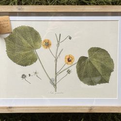Antiques & Botanicals - Print