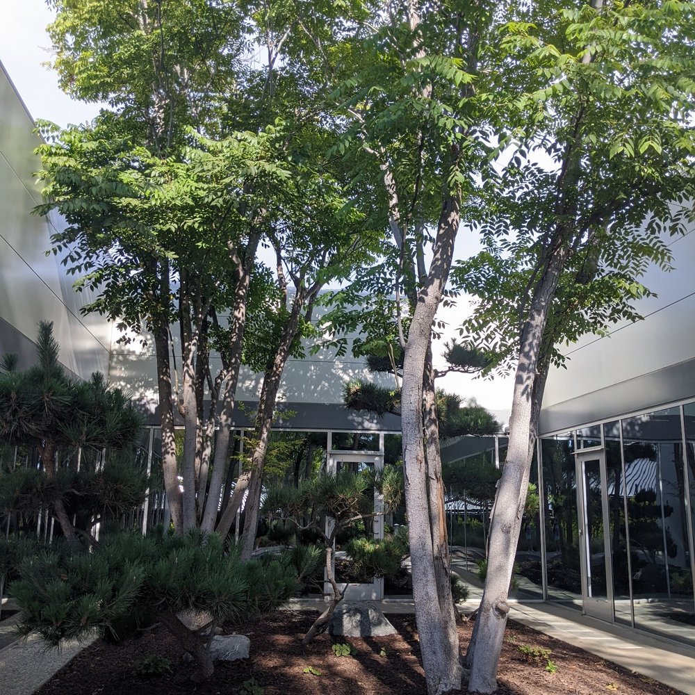 EXOS - Trainers Near Me - Carlsbad, California EXOS - Trainers Near Me - Carlsbad, California