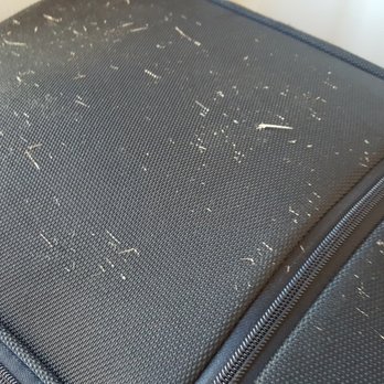 EasyJet - easyJet is the worst airlines! Flew to Madrid from Paris and they did this to our suitcase after telling us to check our carry-on. - Airlines Near Me - Madrid, M