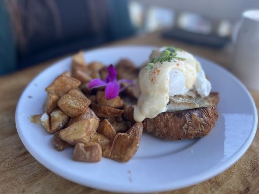 Island Lava Java by null