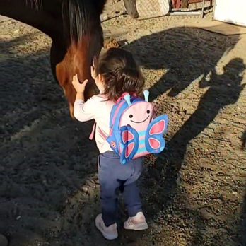 Rancho Los Fonseca - Petting Zoos Near Me - Muscoy, California Rancho Los Fonseca - Petting Zoos Near Me - Muscoy, California