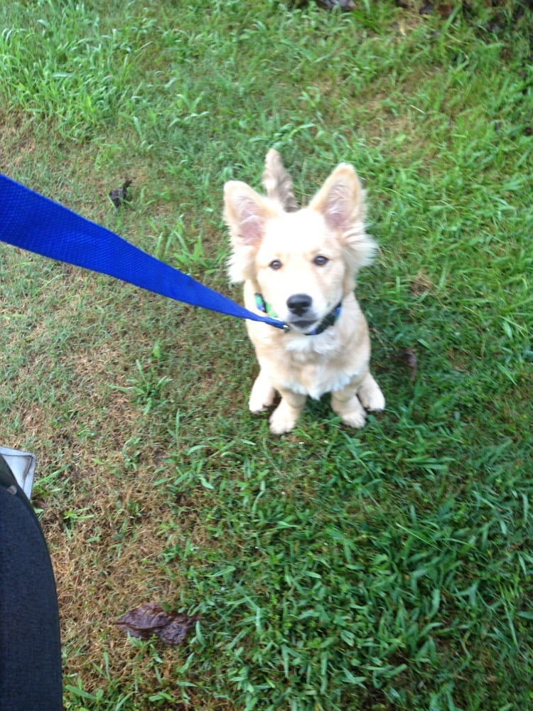 MIRROR LAKE ANIMAL HOSPITAL Updated August 2024 11 Reviews 2000 Mirror Lake Blvd, Villa