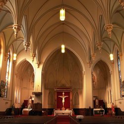 The Basilica of Sts. Peter & Paul - A view of the nave of the church with its beautiful ribbed vault ceiling, a characteristic of Tudor Gothic architecture.
