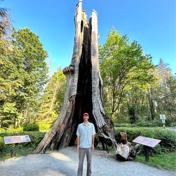 Stanley Park - Hollow Tree takes 5 minutes to check out. - Parks Near Me - Vancouver, British Columbia Stanley Park - Hollow Tree takes 5 minutes to check out. - Parks Near Me - Vancouver, British Columbia