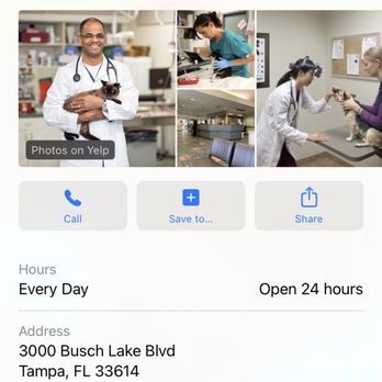BluePearl - Tampa - Veterinarians Near Me - Tampa, Florida BluePearl - Tampa - Veterinarians Near Me - Tampa, Florida