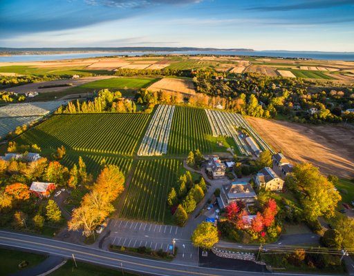 Domaine de Grand Pré by null
