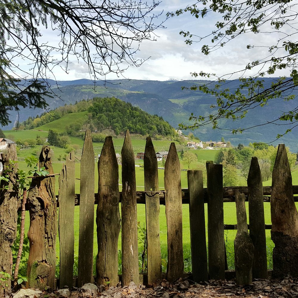 ترنتينو - المعرفة, image size:1000x1000