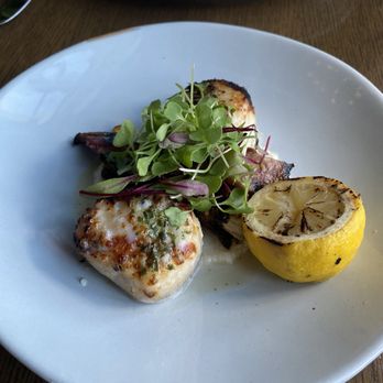 Klaw Miami - Scallops - Steakhouses Near Me - Miami, Florida Klaw Miami - Scallops - Steakhouses Near Me - Miami, Florida