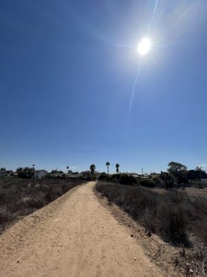Tecolote Canyon Natural Park and Nature Center by null