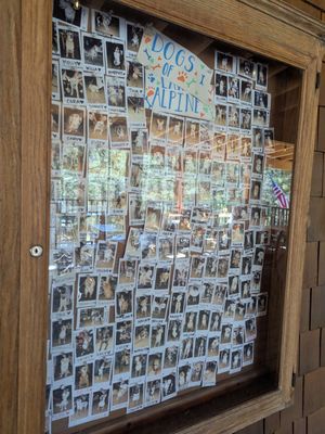 Lake Alpine Lodge by null