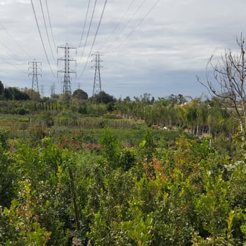 Horizon Nursery - Nurseries & Gardening Near Me - Santa Fe Springs, California