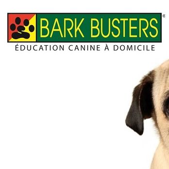 Bark Busters - Pet Training Near Me