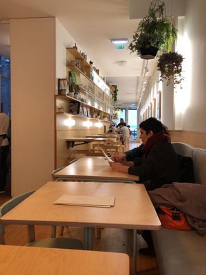 Noshi Coffee by null
