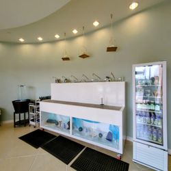 The Water Brewery - Vegan, Gluten-Free, Baked Goods, Organic Cold-Pressed Juices