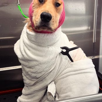 Fur Exclusive - Pet Groomers Near Me - Austin, Texas Fur Exclusive - Pet Groomers Near Me - Austin, Texas