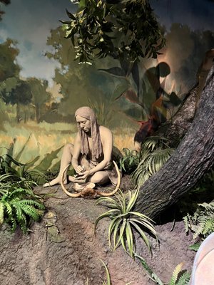 Orange County Regional History Center by null