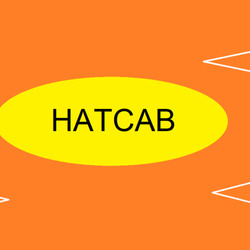 Hail a Taxi