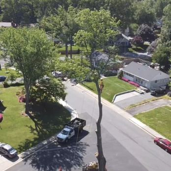 Flavio Domeneck Landscaping Inc. - Highly skilled climber - Tree Services Near Me - Annandale, Virginia Flavio Domeneck Landscaping Inc. - Highly skilled climber - Tree Services Near Me - Annandale, Virginia