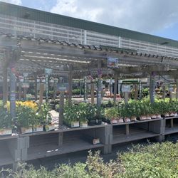 Menards - Garden area