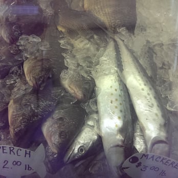 Law's Seafood - a variety of fish in ice - Seafood Markets Near Me - Punta Gorda, Florida Law's Seafood - a variety of fish in ice - Seafood Markets Near Me - Punta Gorda, Florida