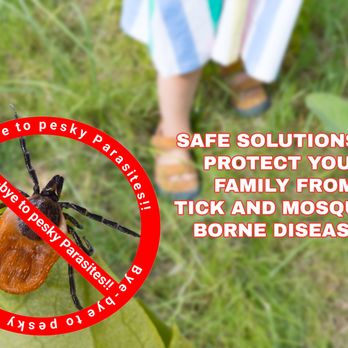 Turning Green - 100% Naturalk Tick and Mosquito Control - Tree Services Near Me - Norwalk, Connecticut Turning Green - 100% Naturalk Tick and Mosquito Control - Tree Services Near Me - Norwalk, Connecticut