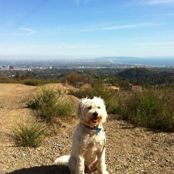 Your Pet's Assistant - Pet Sitting Near Me - Los Angeles, California