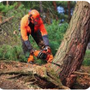 Hunnicutt Tree Service